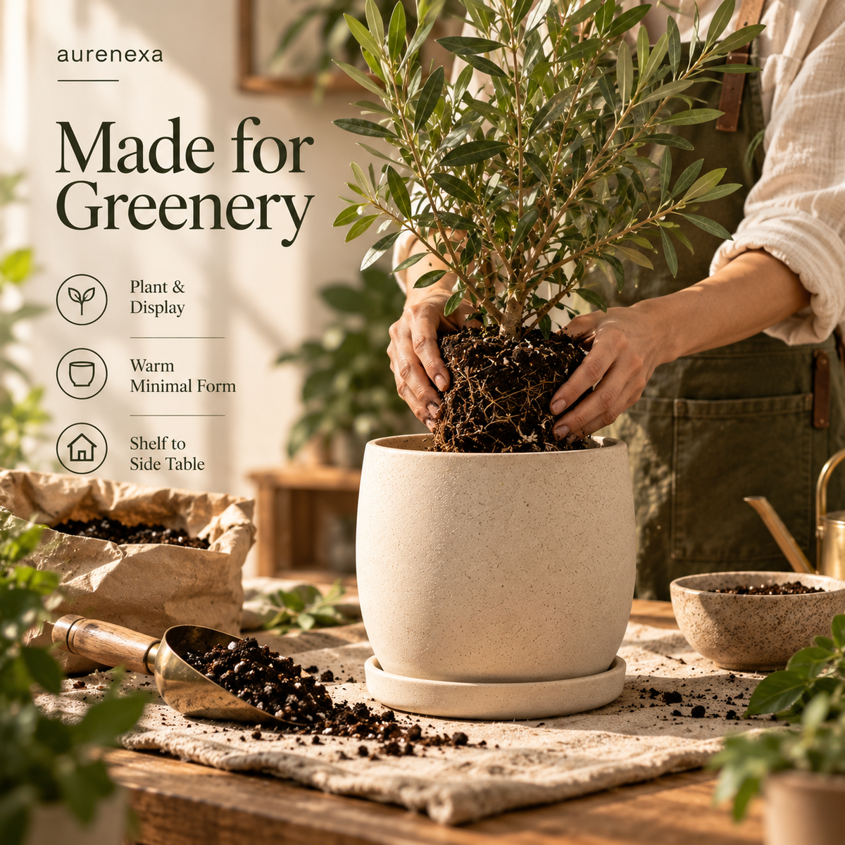 TerraNest Ceramic Planter